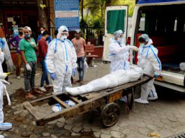 Basketball Georgios Vovoras Gets Panathinaikos Top Job Turkishpress