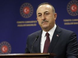 Igor Kokoskov Appointed Fenerbahce Beko S New Coach Turkishpress