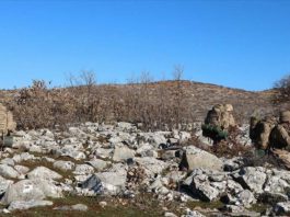 Igor Kokoskov Appointed Fenerbahce Beko S New Coach Turkishpress