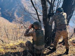 Igor Kokoskov Appointed Fenerbahce Beko S New Coach Turkishpress