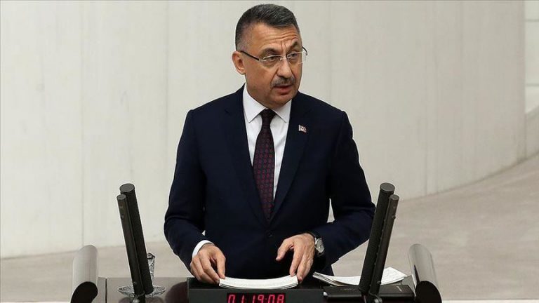 Turkey vows to do whatever required in int'l arena Turkey vows to do whatever required in int'l arena